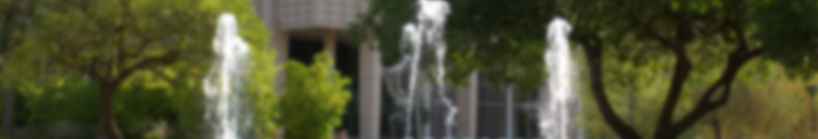 Blurry image of trees and a water fountain
