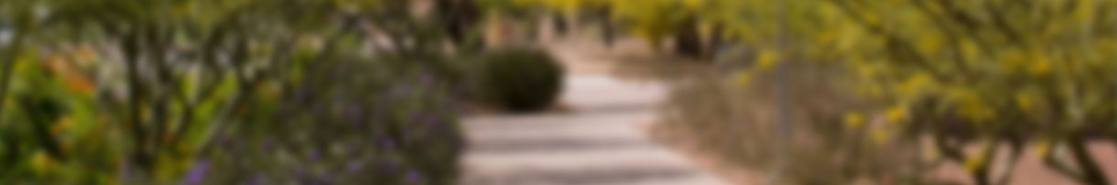 Blurry image of a desert walkway