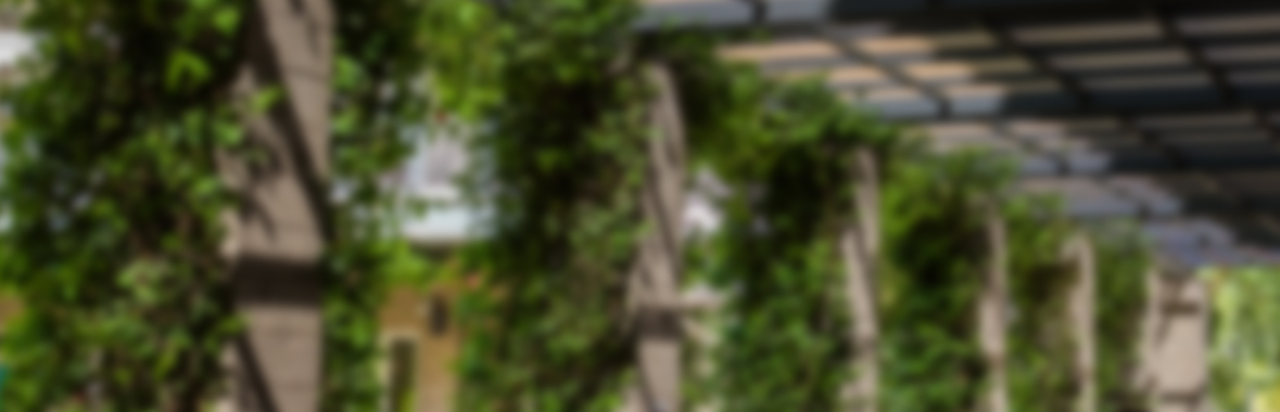 Blurry image of bushy columns