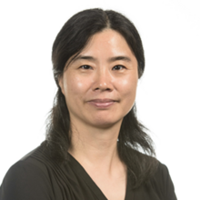 Hongmin Li
